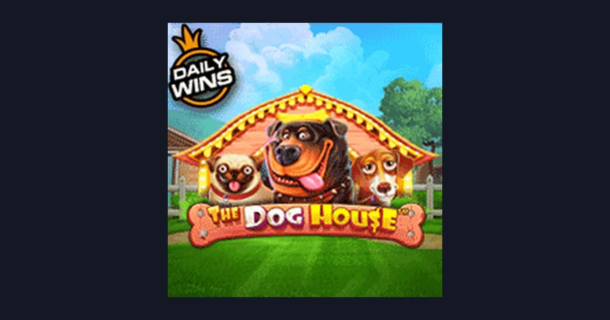 The Dog House: Slot Online Mudah Dimainkan dengan Strategi Spin Santai
