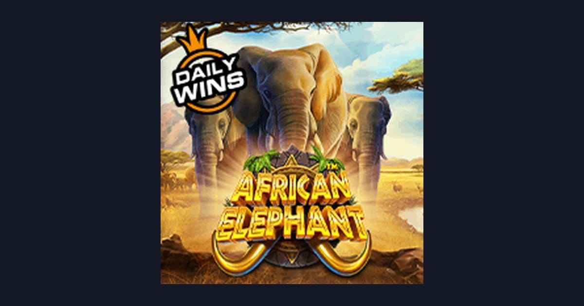 Rasakan Sensasi African Elephant dengan Info RTP Live Tertinggi Saat Ini